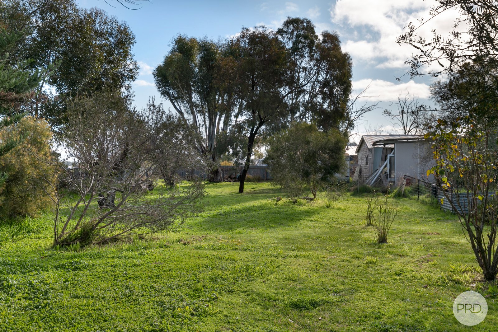 43 Talbot Road CLUNES 19