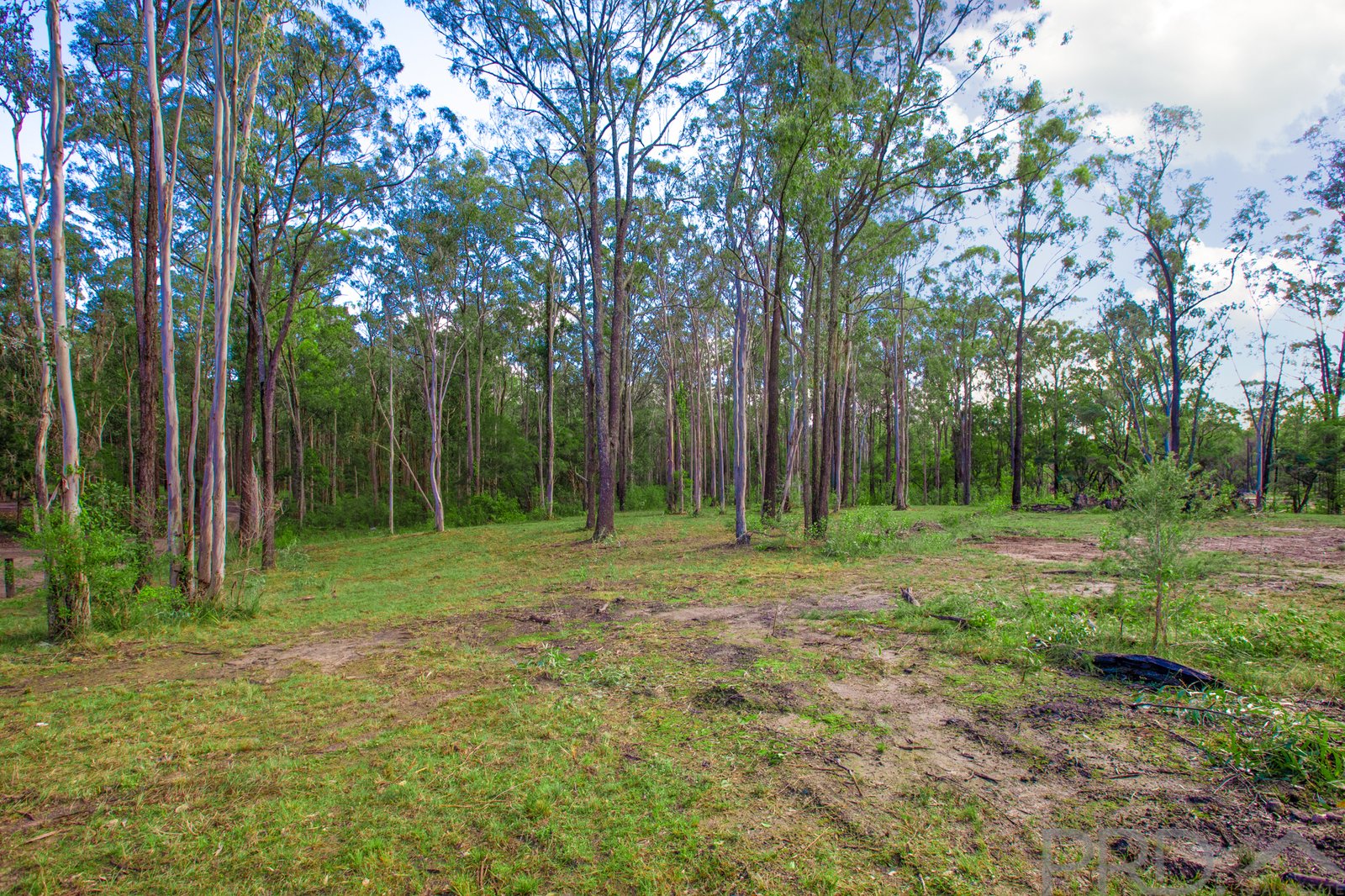 43 Timbertop Road GLEN OAK 4