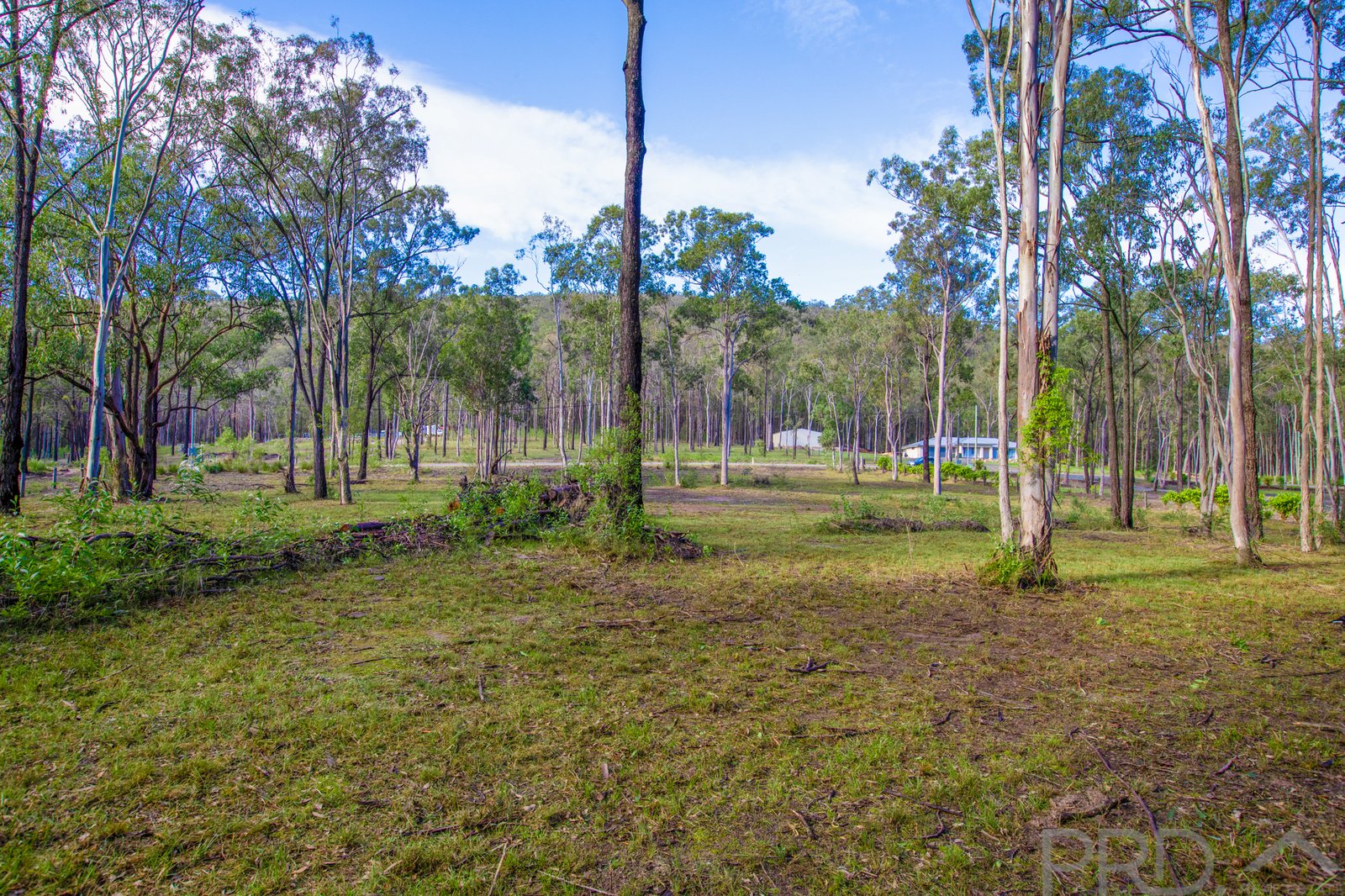 43 Timbertop Road GLEN OAK 5