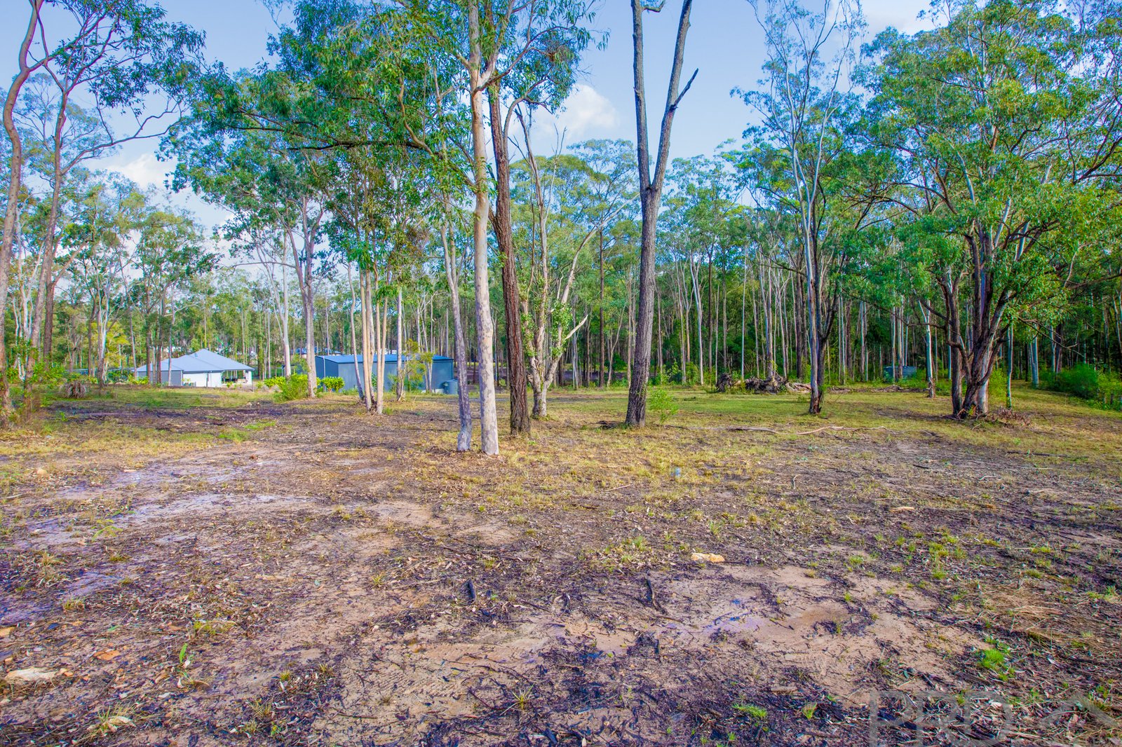 43 Timbertop Road GLEN OAK 7