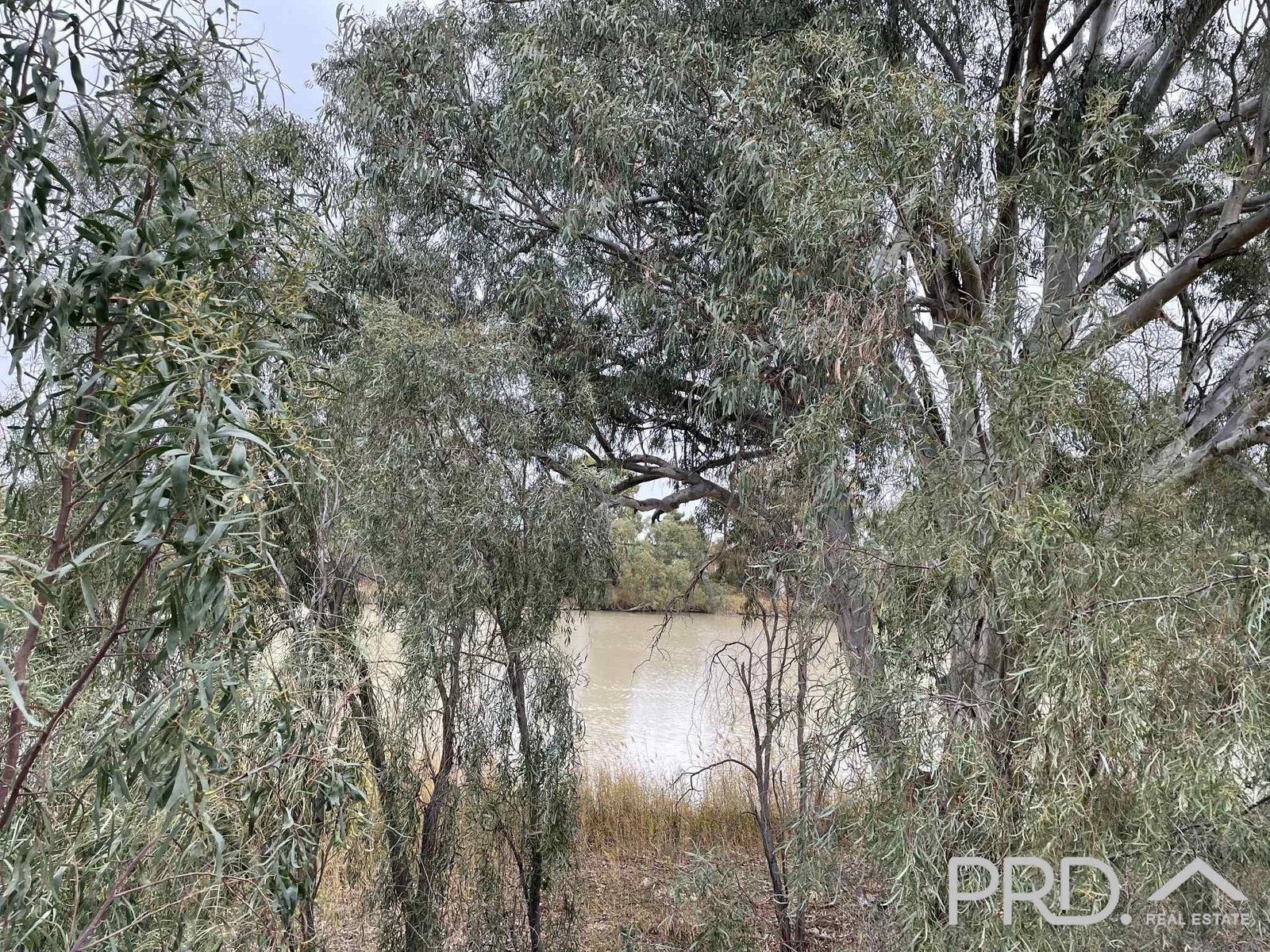 43 Wentworth Street WENTWORTH 8