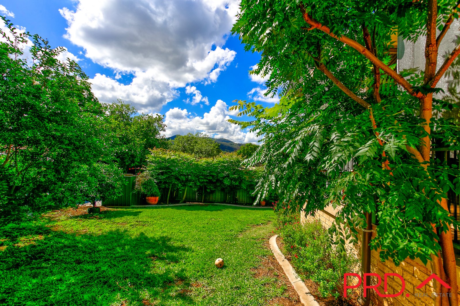 43 Windhover Cres  TAMWORTH 19