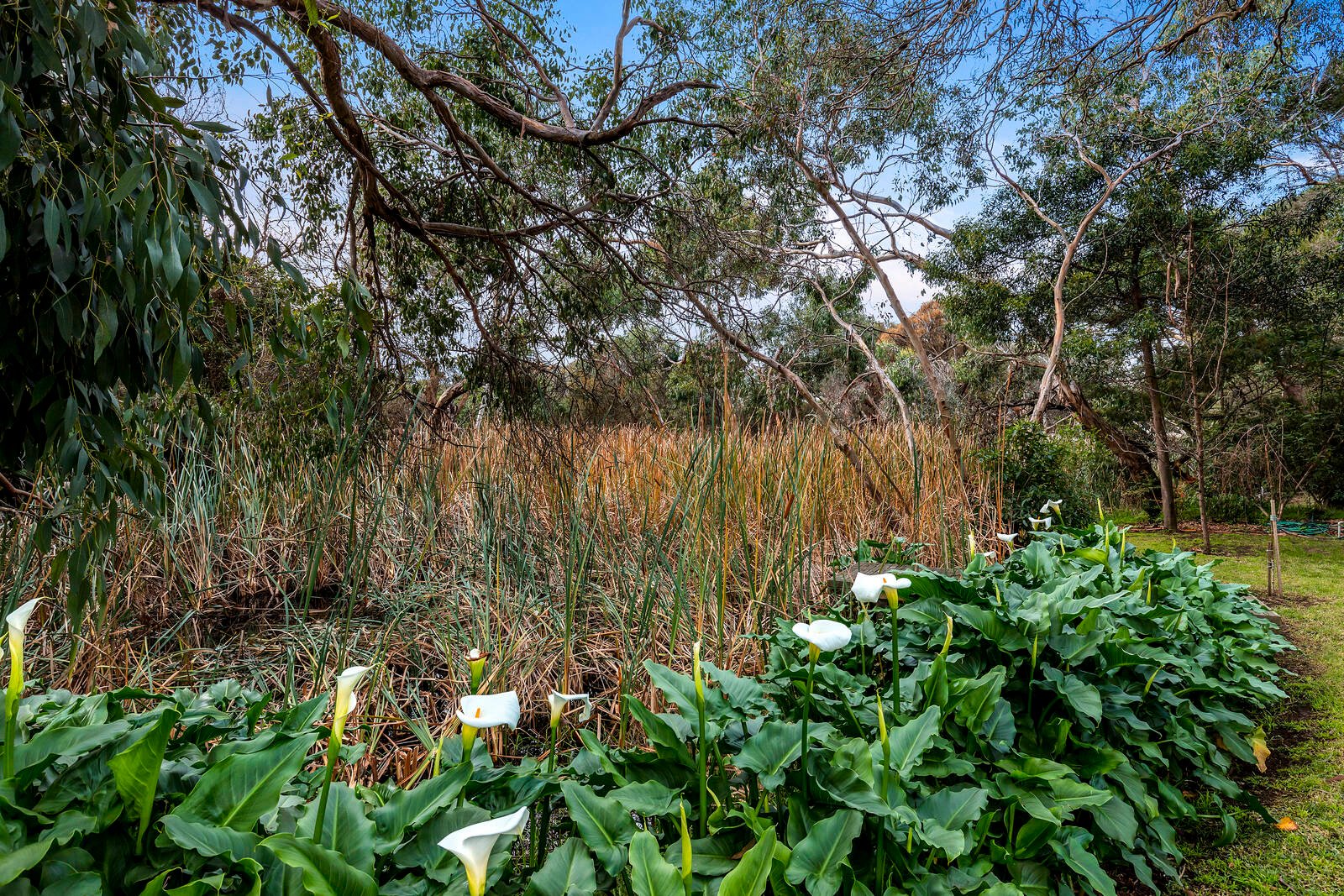 Real Estate and Property in 43 Woodlands Drive, Ocean Grove, VIC