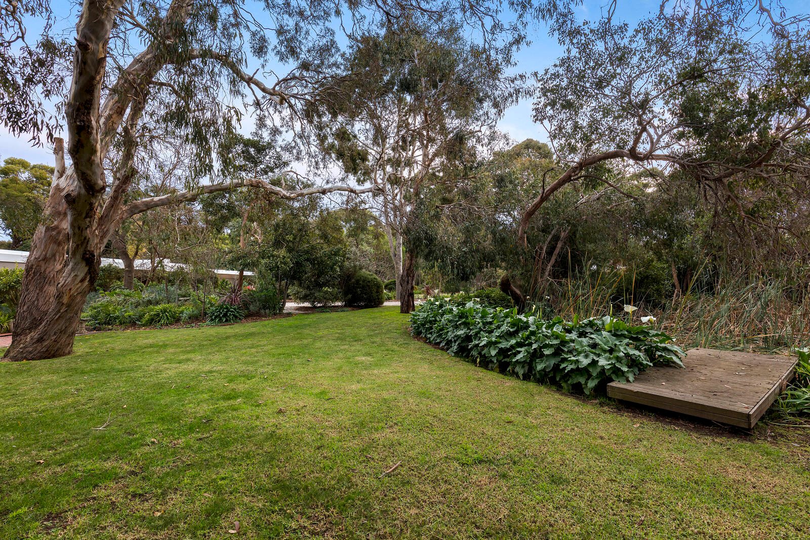 Real Estate and Property in 43 Woodlands Drive, Ocean Grove, VIC