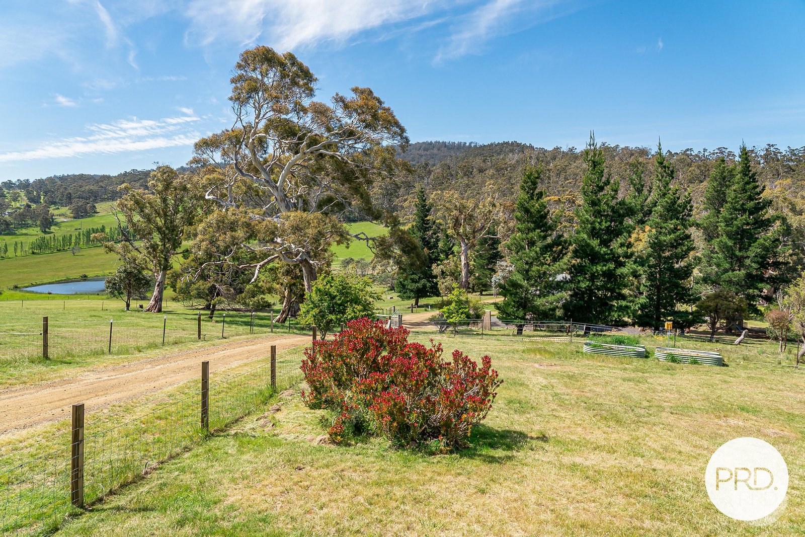 430 Black Hills Road BLACK HILLS 34