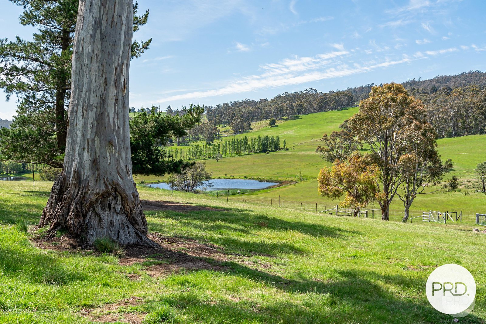 430 Black Hills Road BLACK HILLS 35