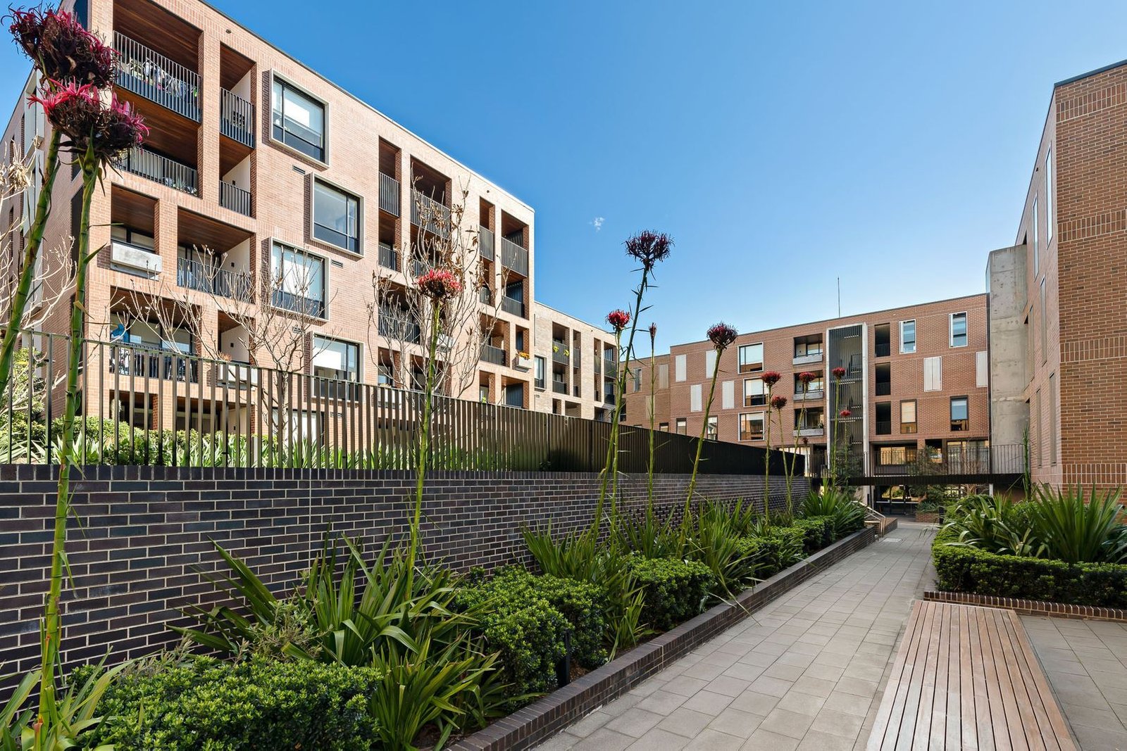 431/3 McKinnon Ave  FIVE DOCK 9