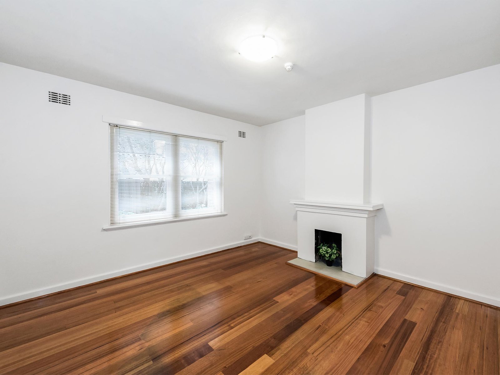 Gallery: 4/317 Inkerman Street
