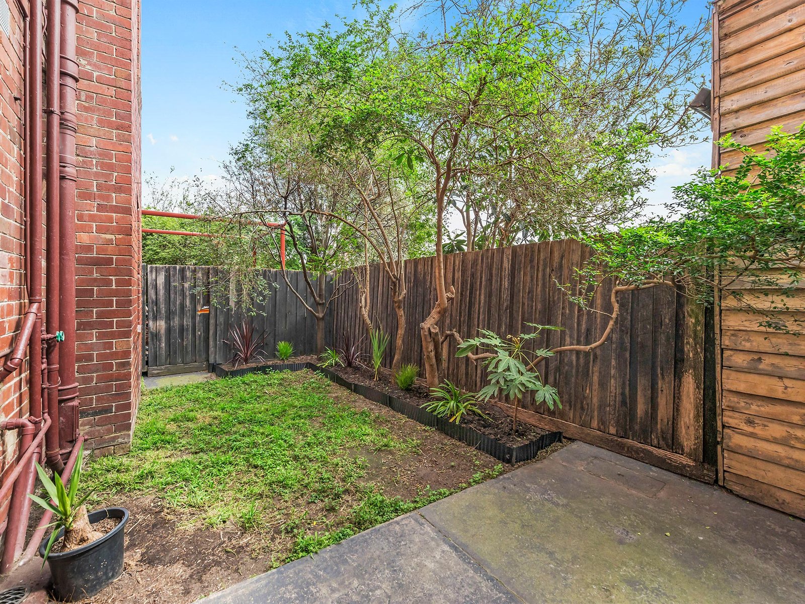 Gallery: 4/317 Inkerman Street