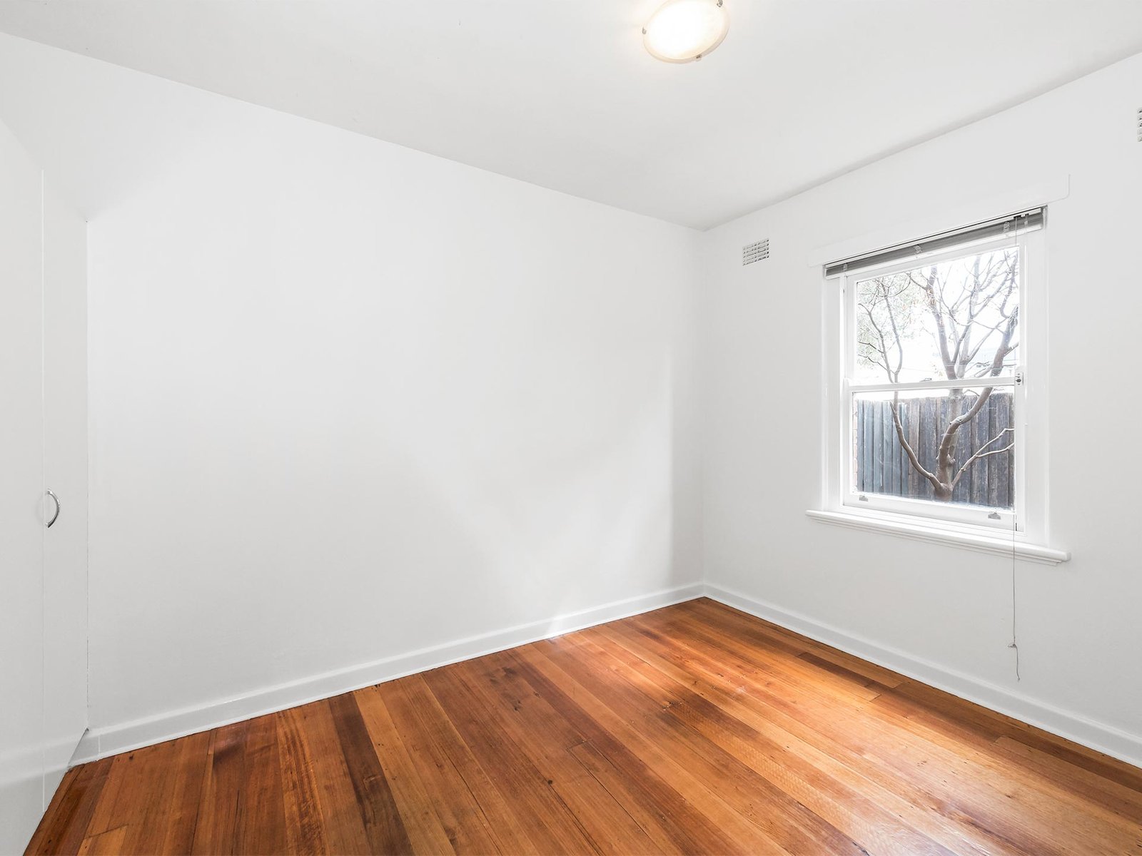 Gallery: 4/317 Inkerman Street