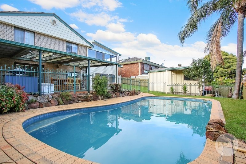 433 Colley Street LAVINGTON 19
