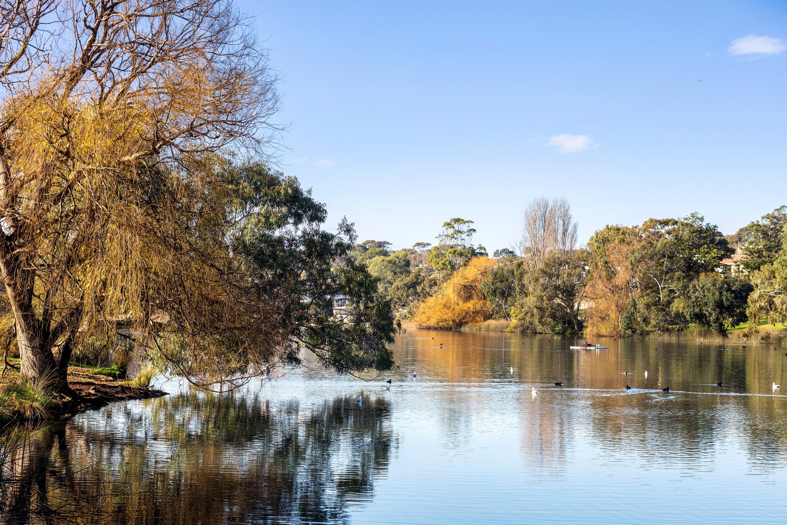 Real Estate and Property in 4/35-39 Wiltons Road, Ocean Grove, VIC