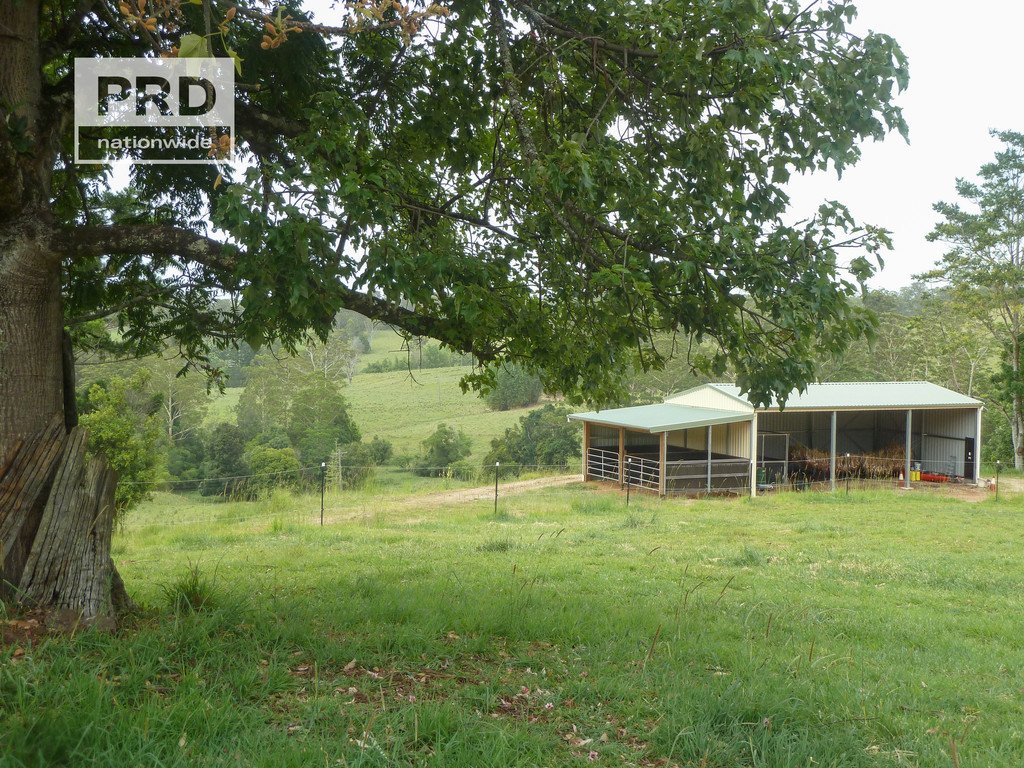 4358a Kyogle Road LILLIAN ROCK 24