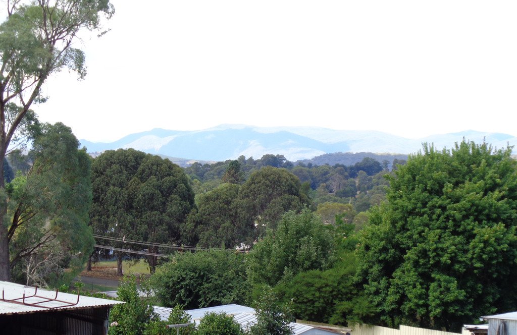 4/36 Bartoman Street BATLOW 6