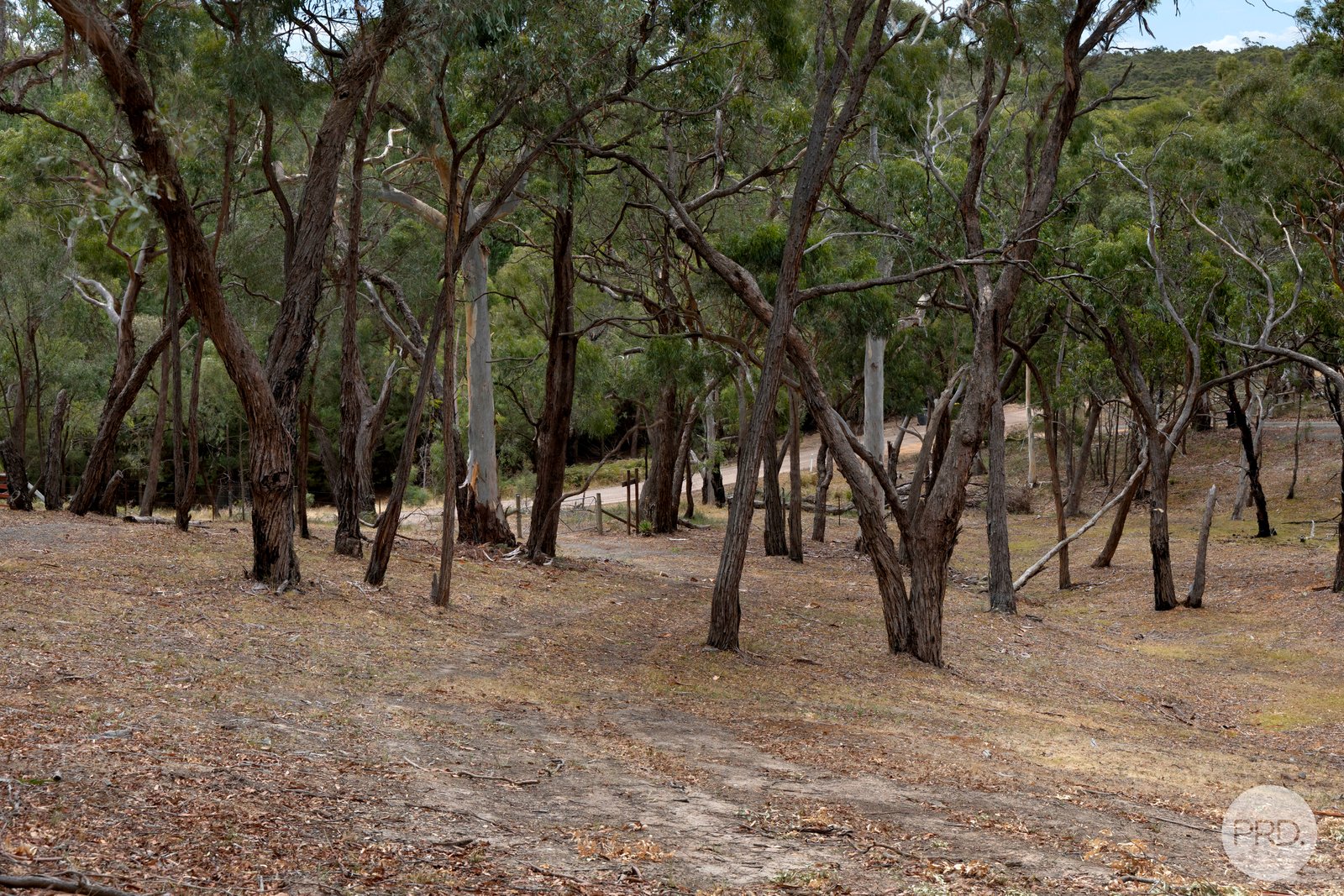 436 Ferrers Road DEREEL 4