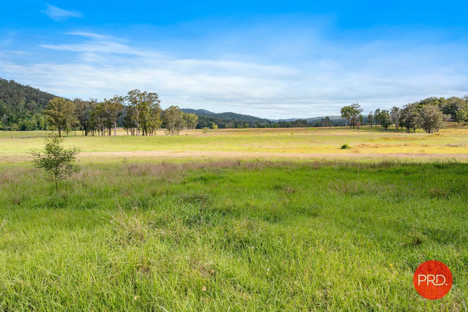 436 Tallawudjah Creek Rd  GLENREAGH 22