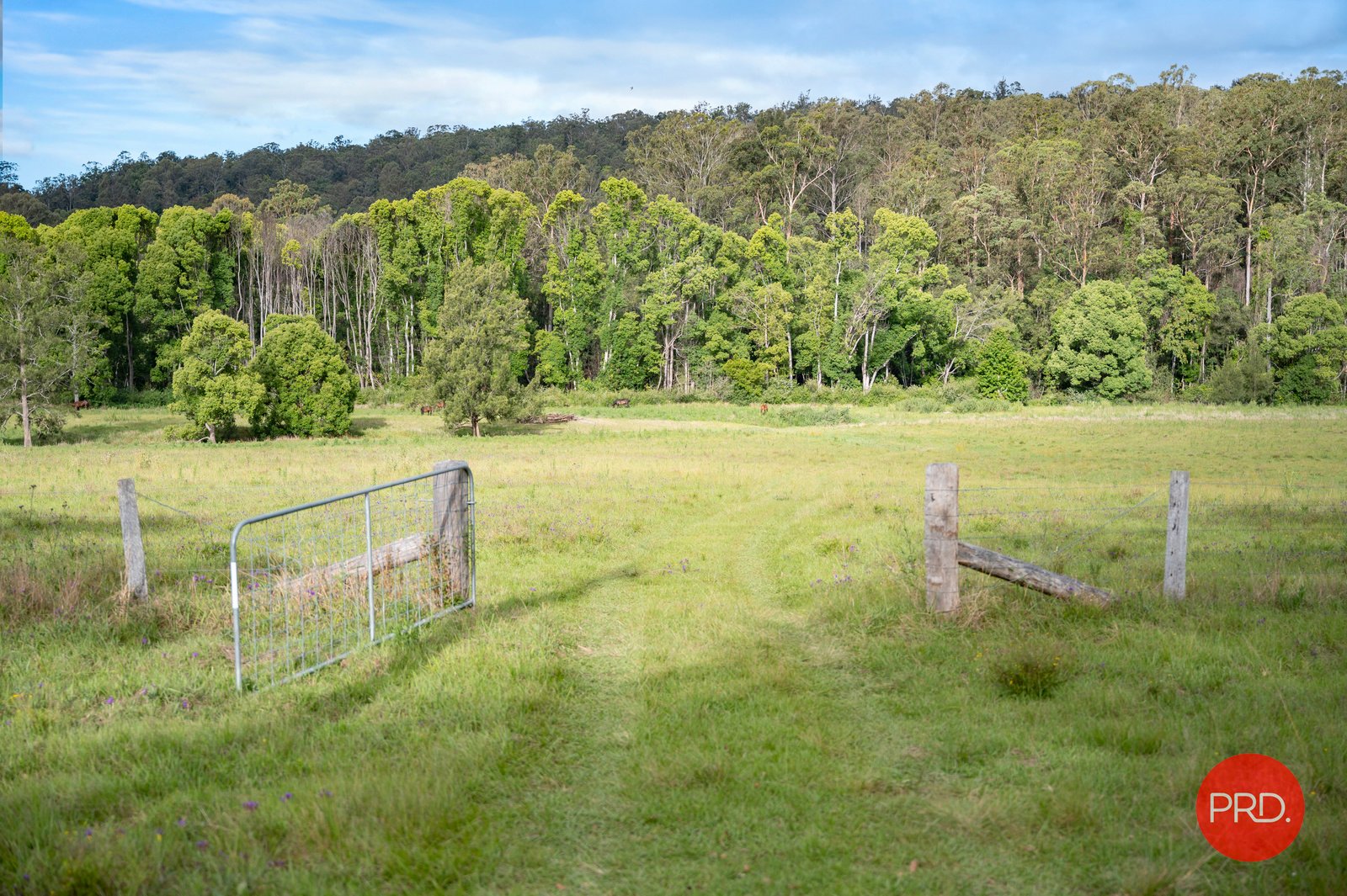 436 Tallawudjah Creek Rd  GLENREAGH 23