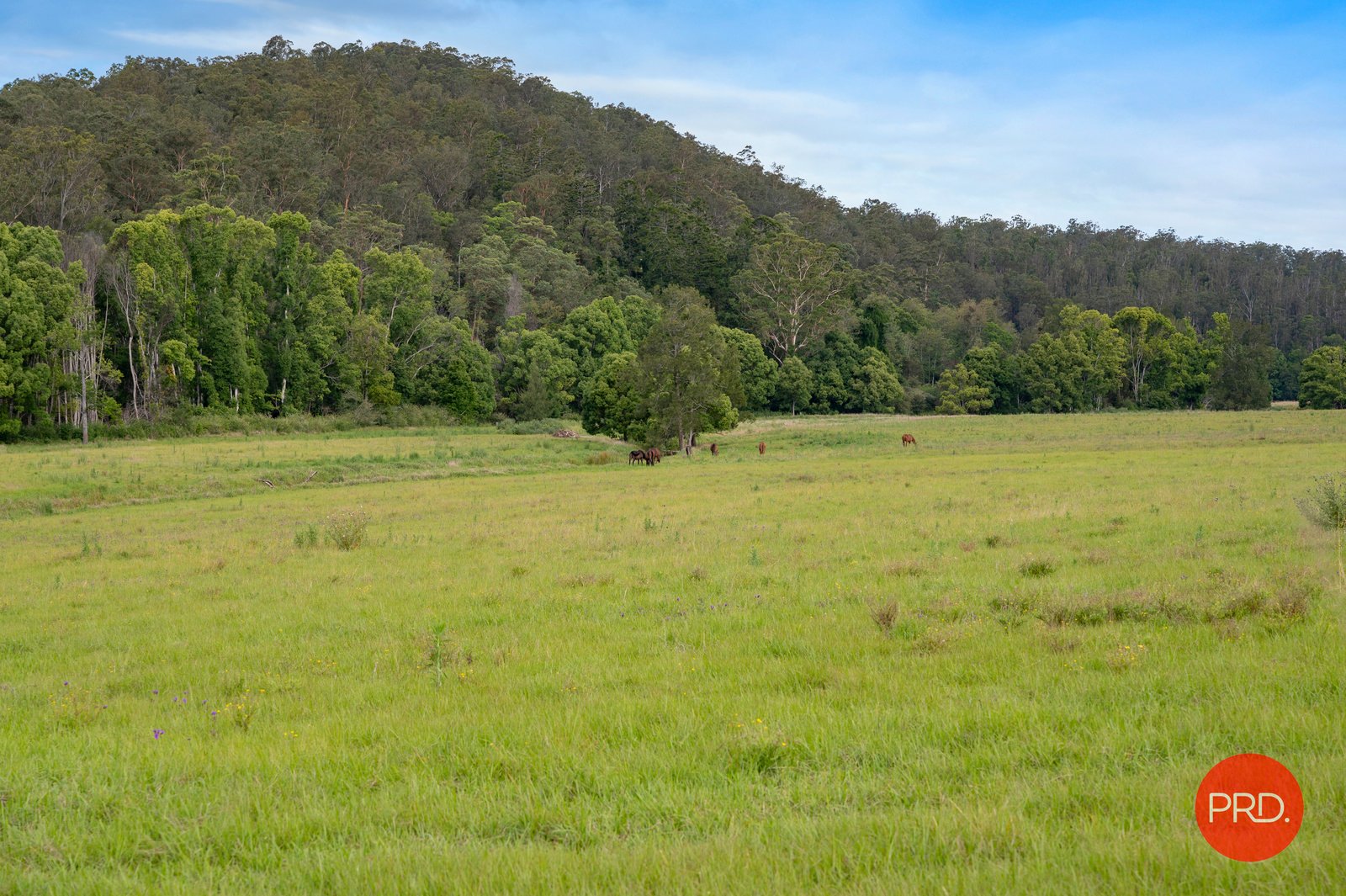 436 Tallawudjah Creek Rd  GLENREAGH 24