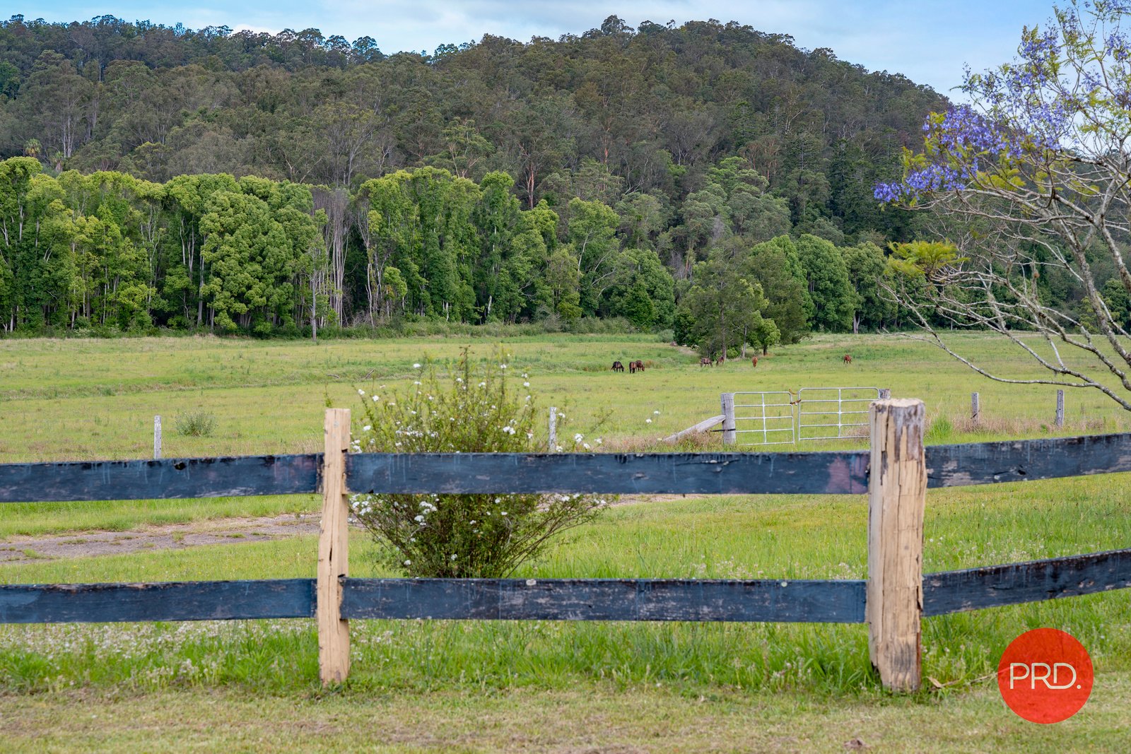 436 Tallawudjah Creek Rd  GLENREAGH 27