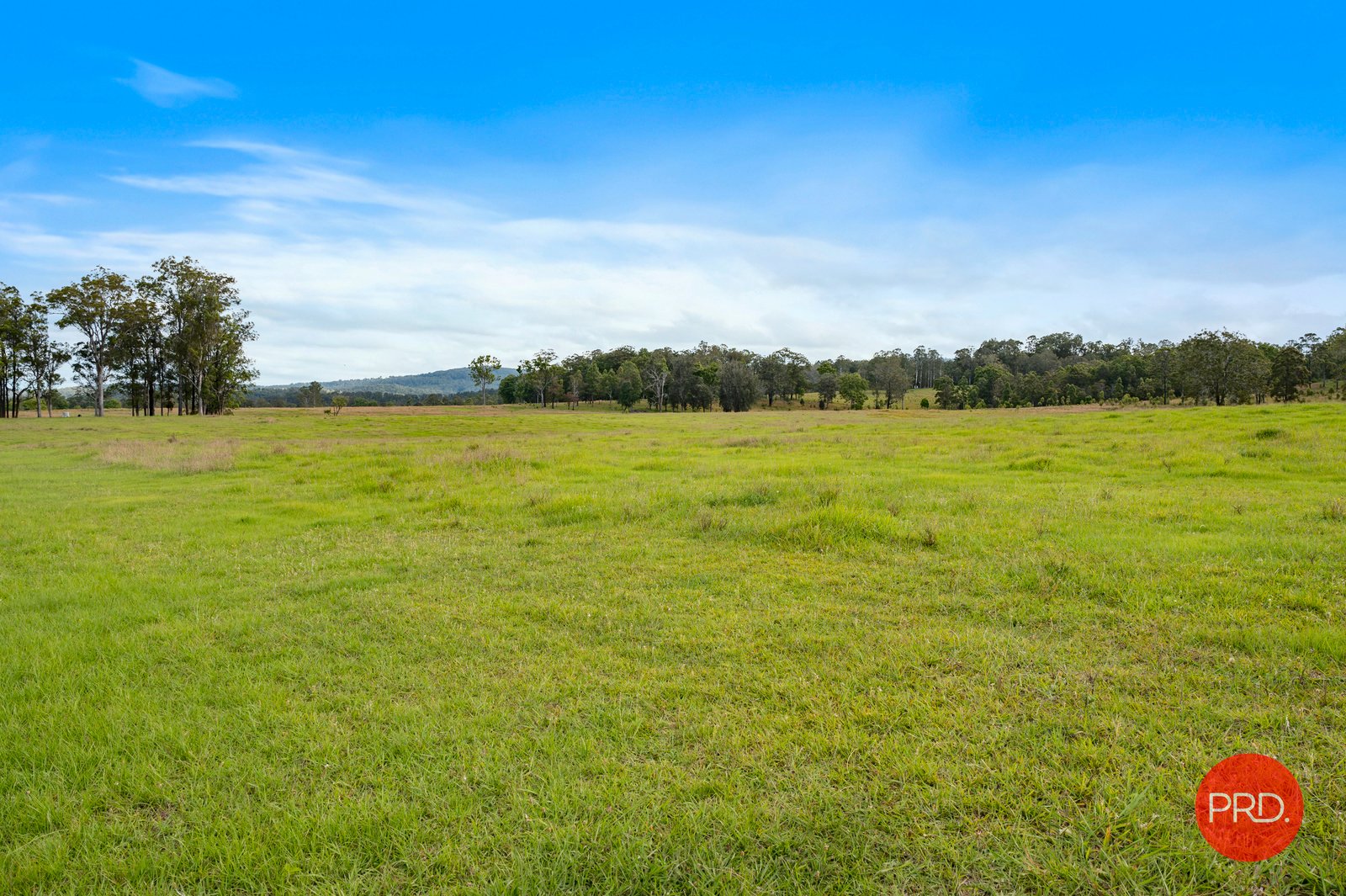 436 Tallawudjah Creek Rd  GLENREAGH 29