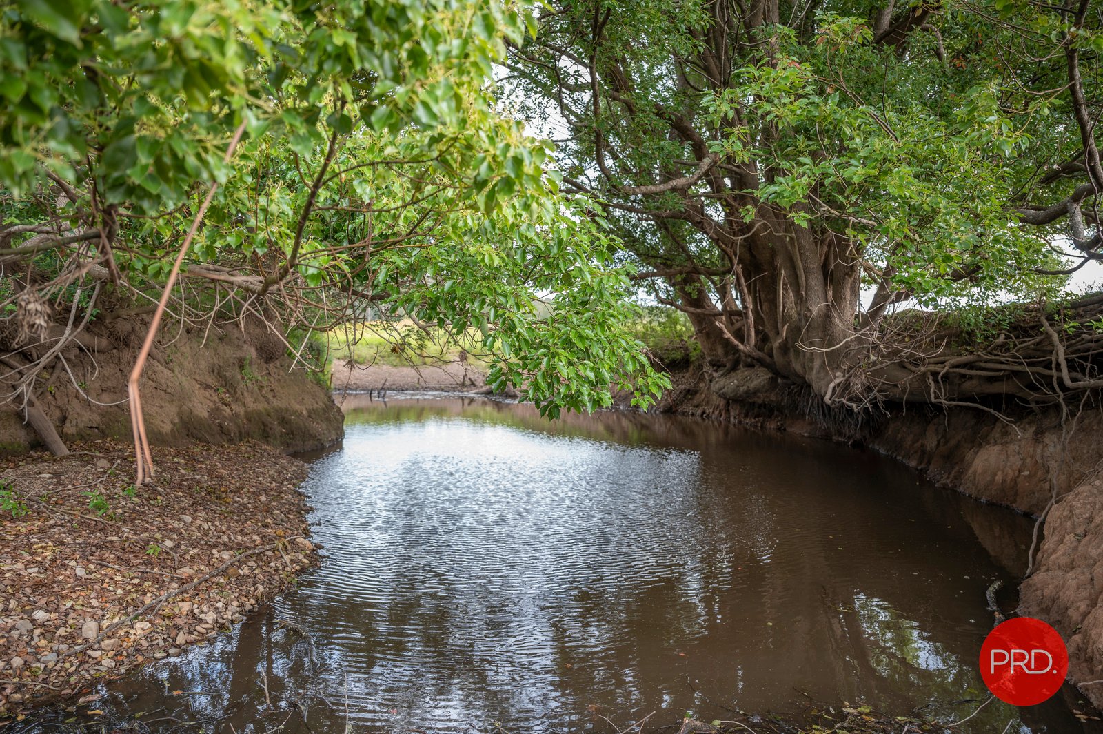 436 Tallawudjah Creek Rd  GLENREAGH 30