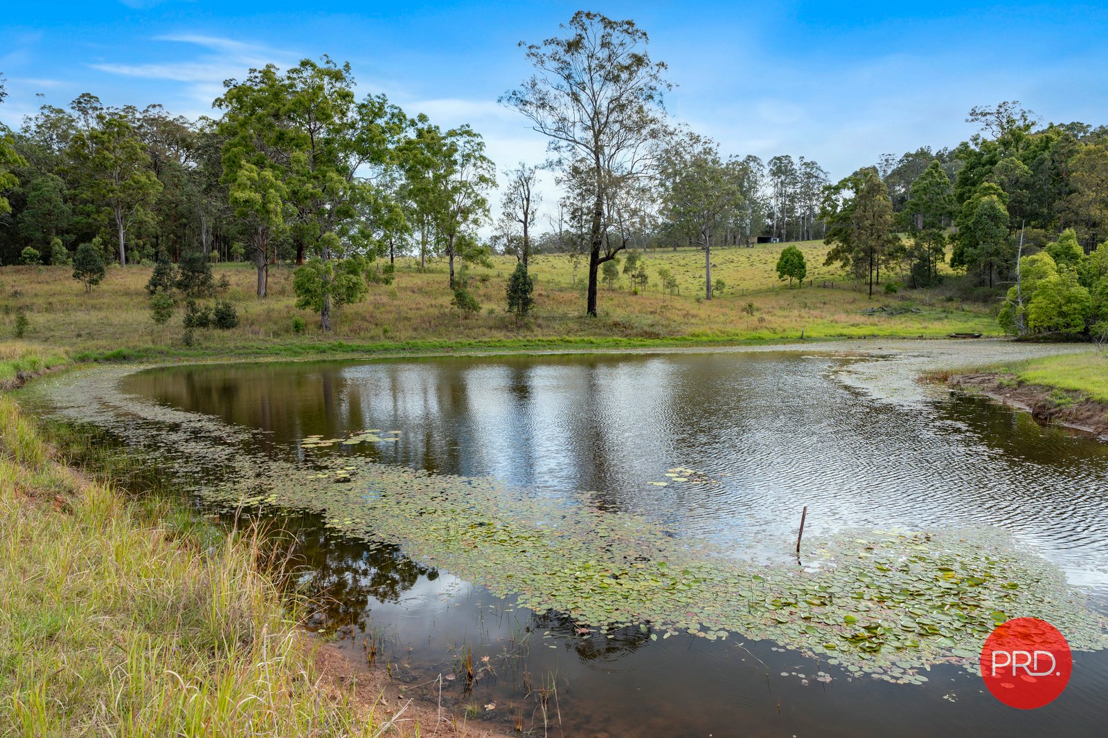 436 Tallawudjah Creek Rd  GLENREAGH 31
