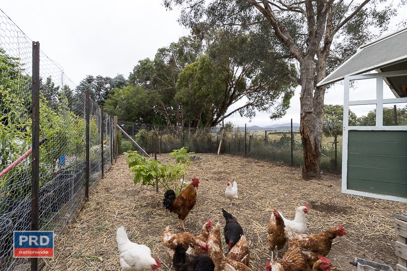 438 Plains Road HOSKINSTOWN 22