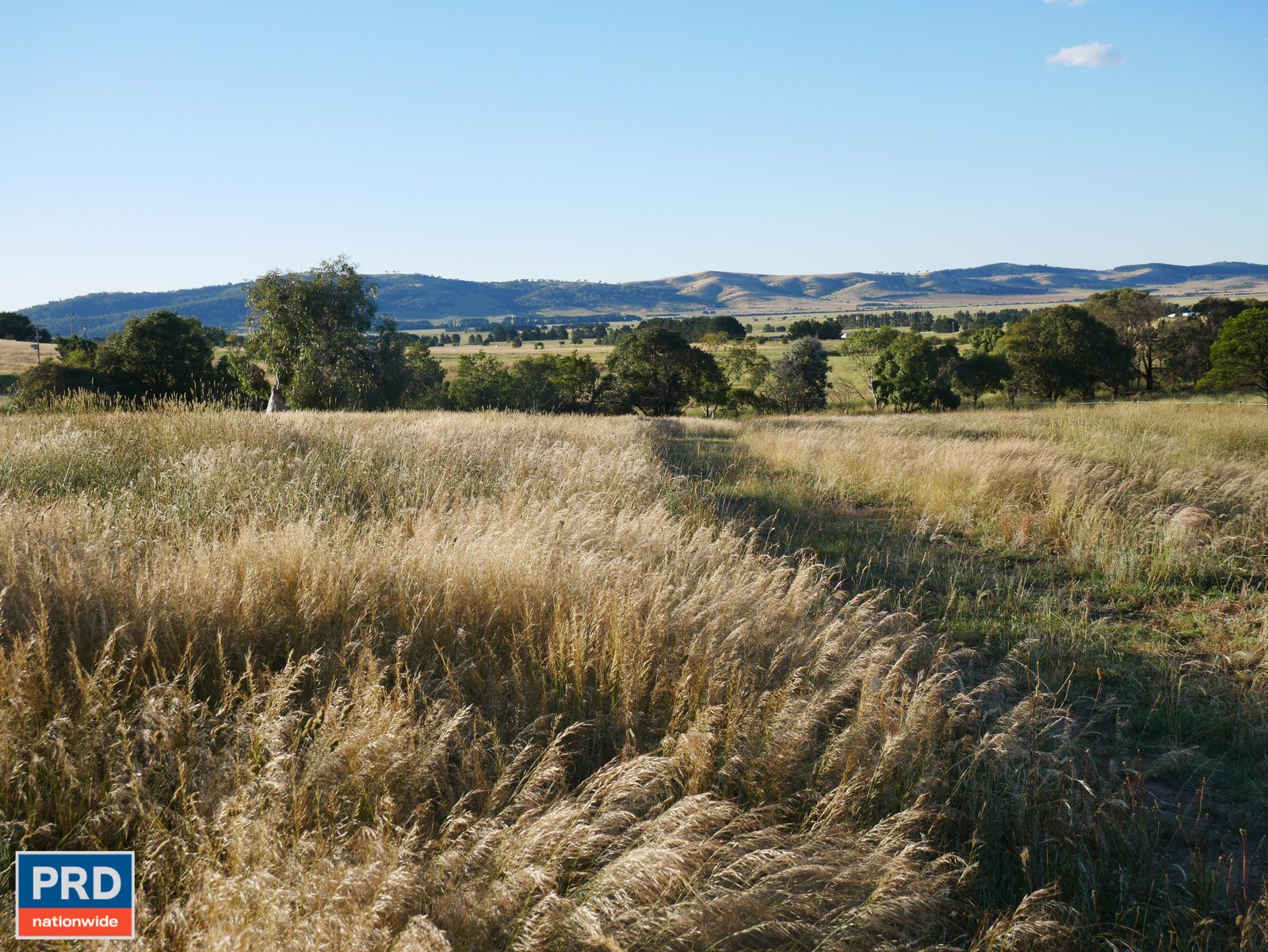 438 Plains Road HOSKINSTOWN 23