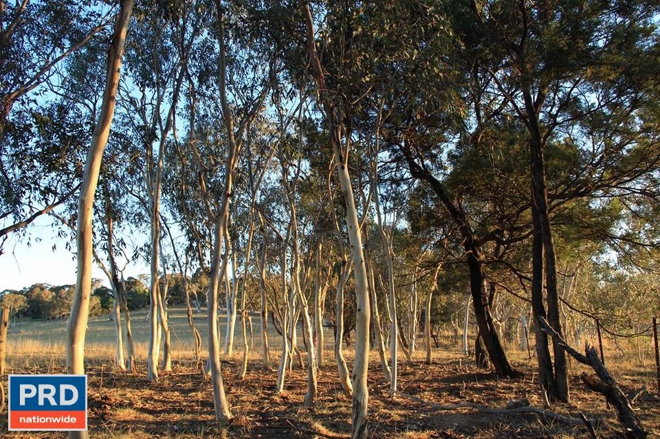 438 Plains Road HOSKINSTOWN 24