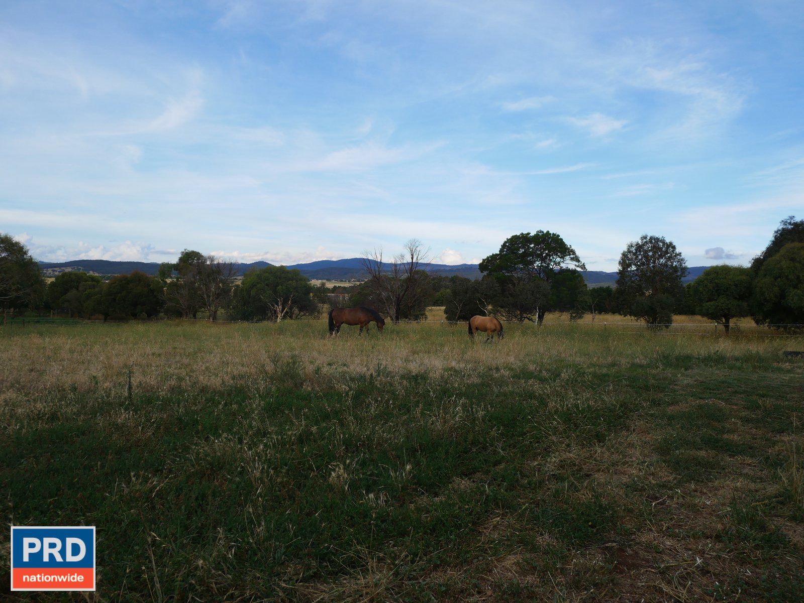 438 Plains Road HOSKINSTOWN 26