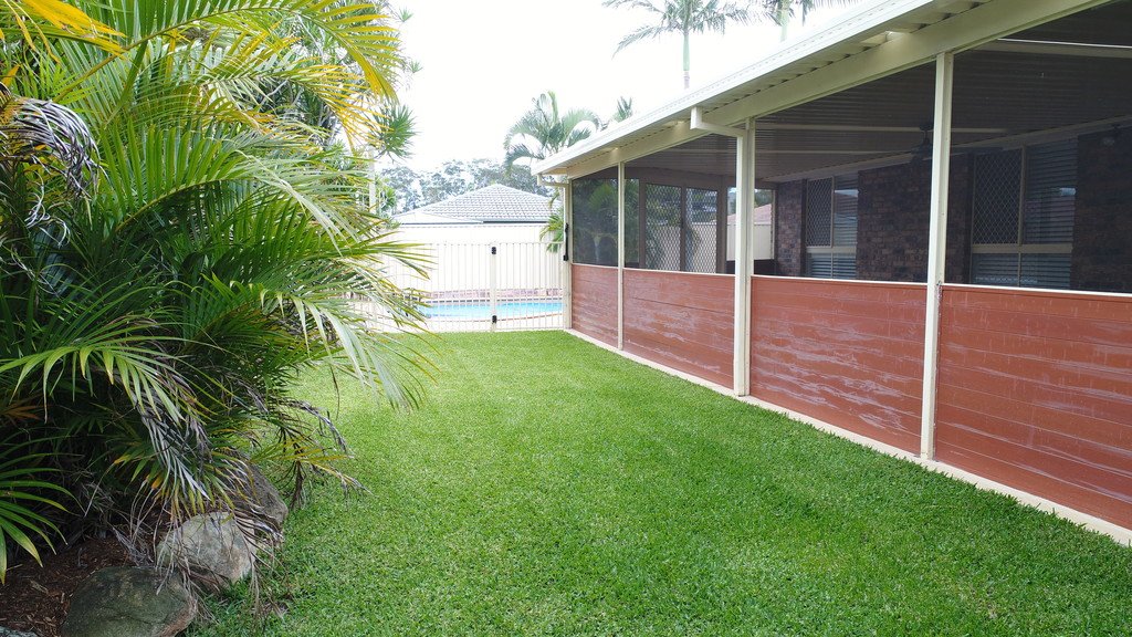 44 Avocado Street ELANORA 19