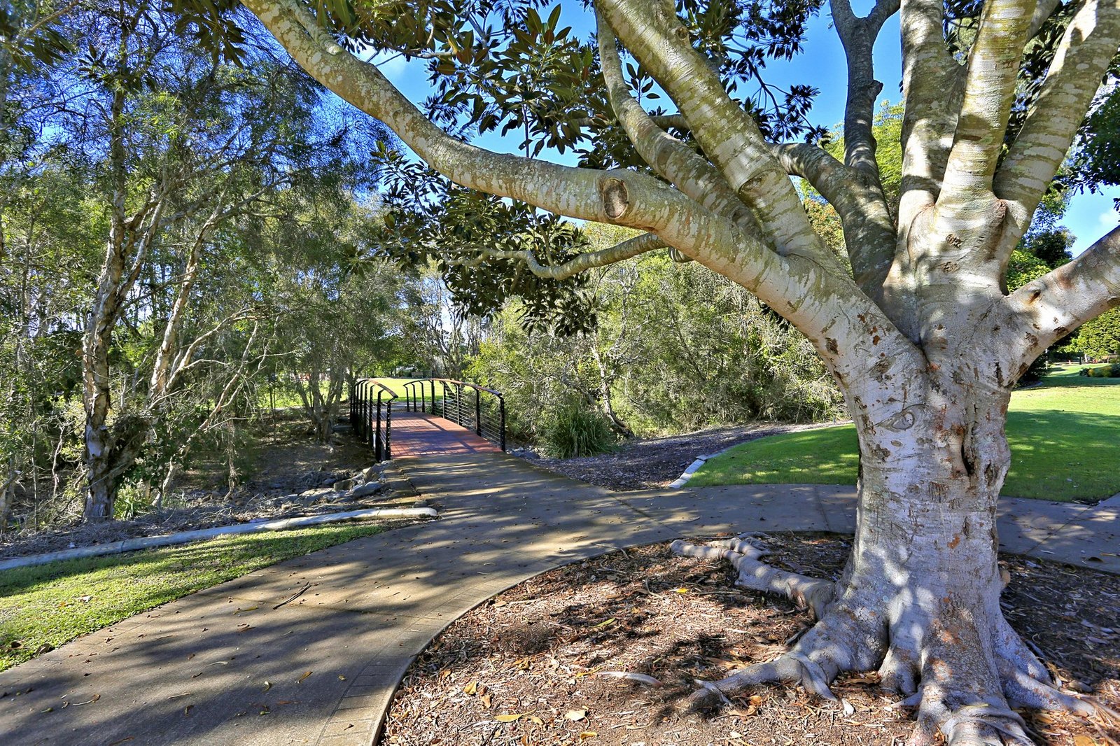 44 Bay Park Road WONDUNNA 18