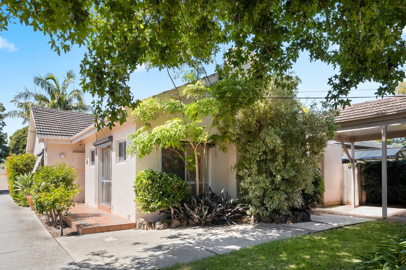 Gallery: 44 Clay Street