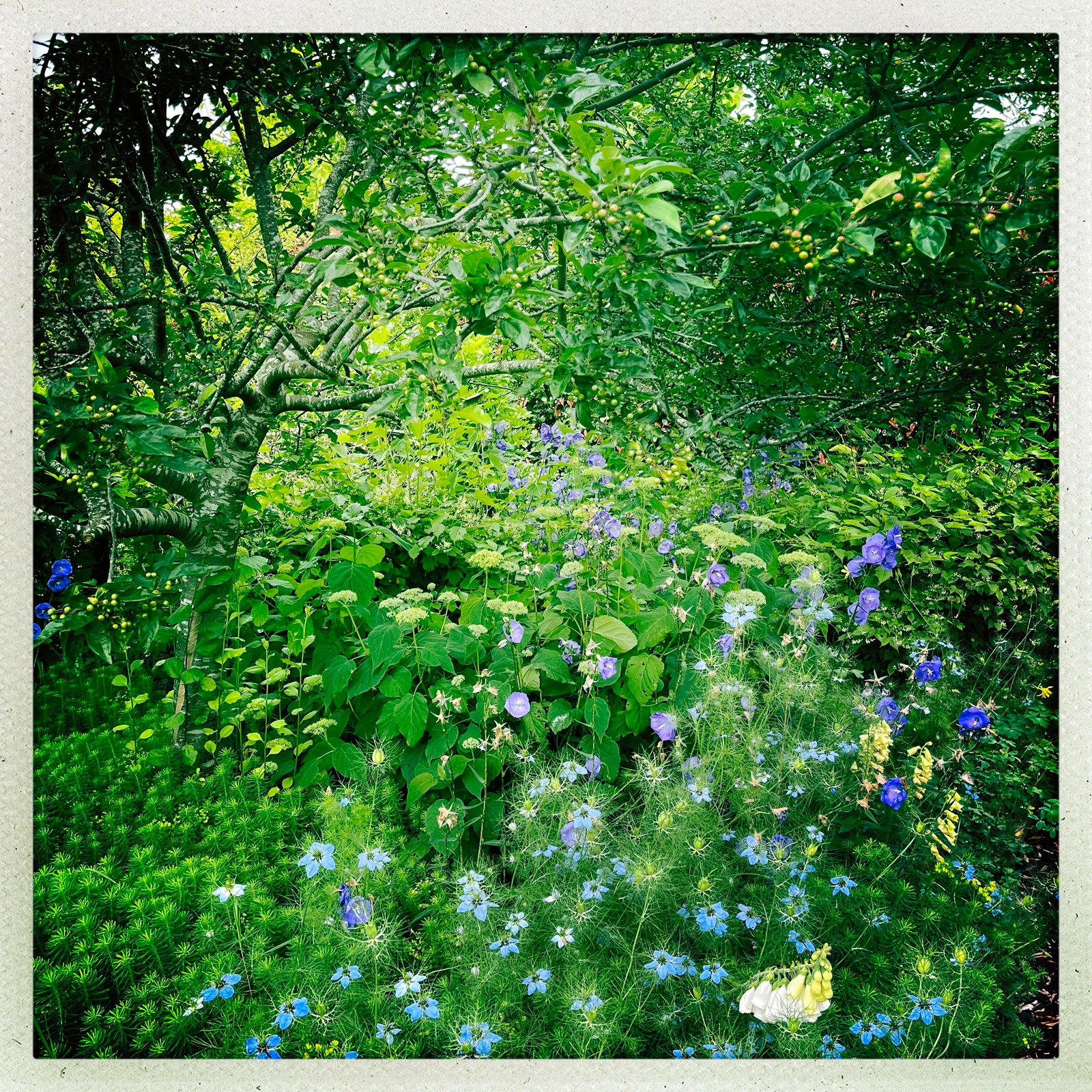 Real Estate and Property in 44 Cosmo Road, Trentham, VIC