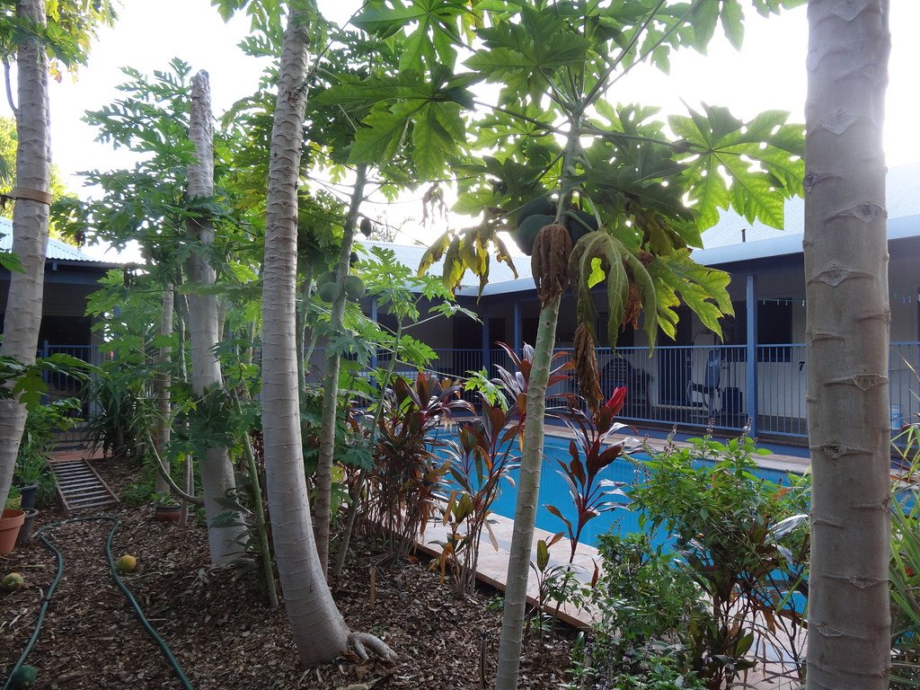 44 Durack Crescent BROOME 24