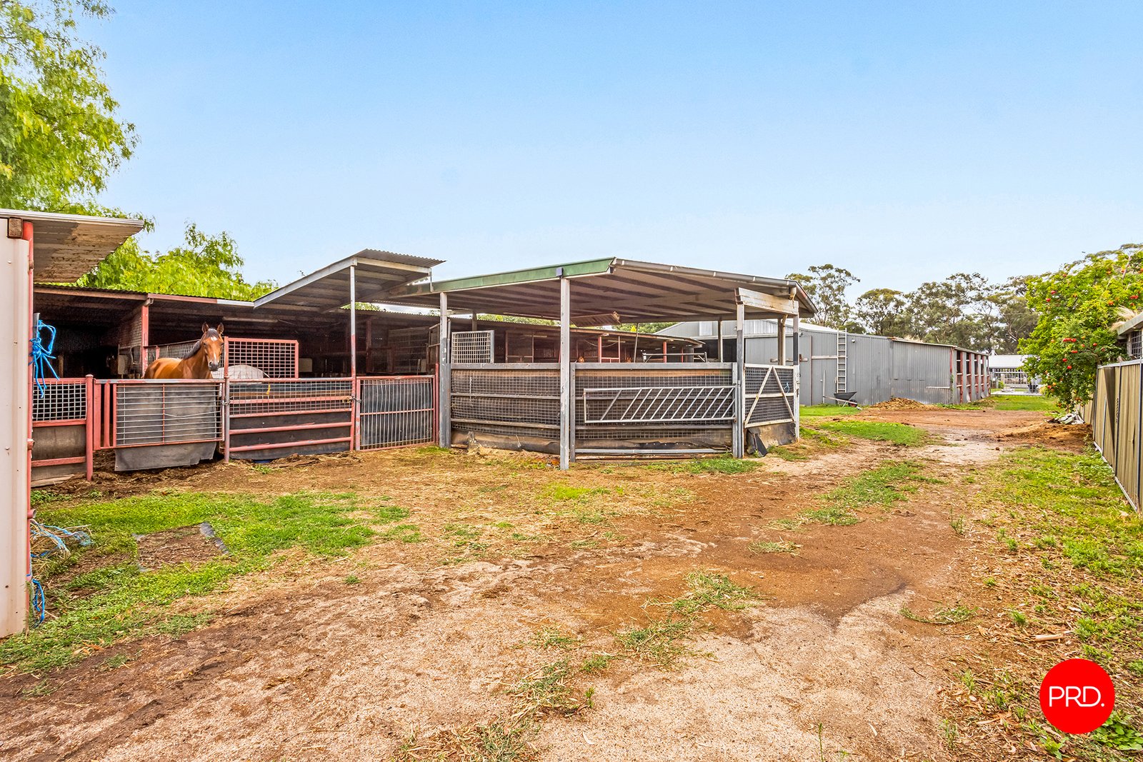 44 Heinz Street EAST BENDIGO 20