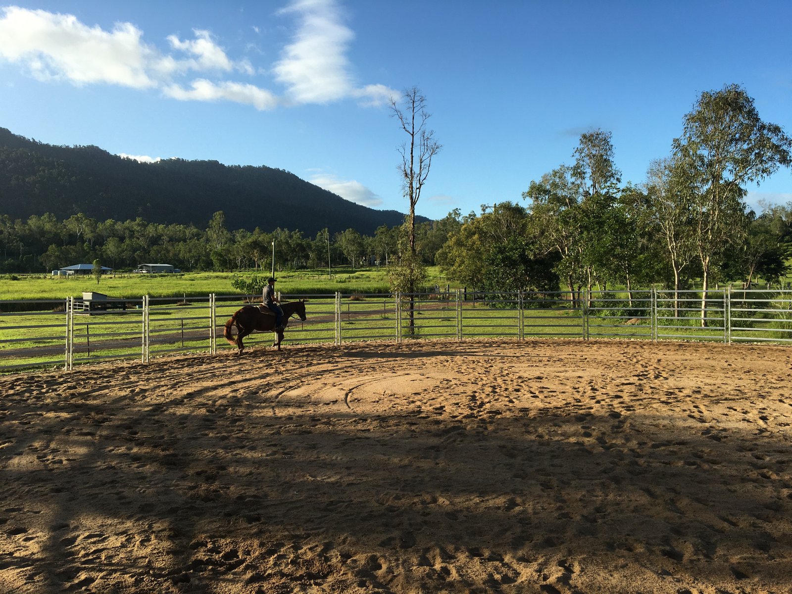 44 Holloway Drive SUGARLOAF 16