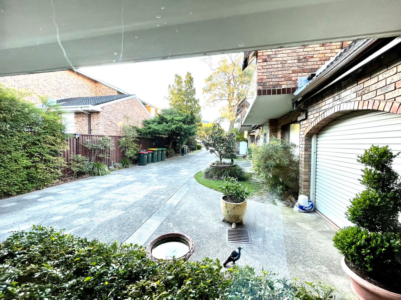 4/4 Joffre Street SOUTH HURSTVILLE 10