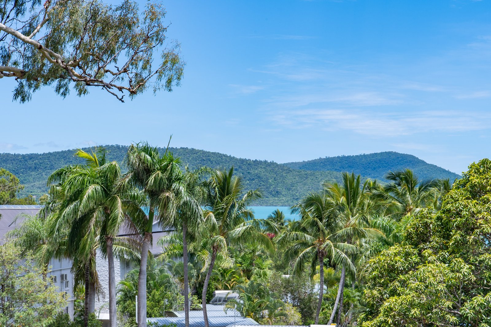 44 Jones Road CANNONVALE 1