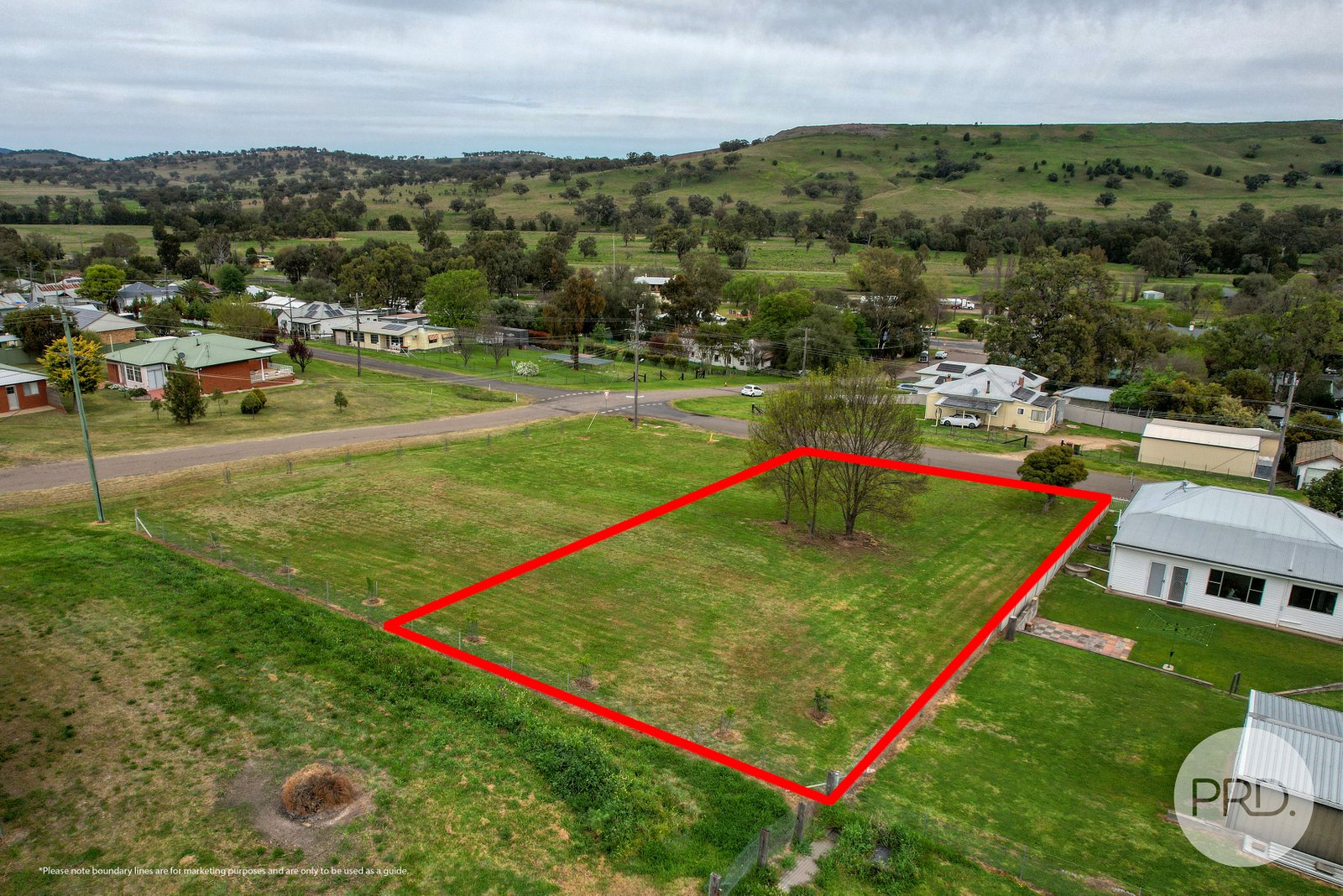 44 Learmonth Street WILLOW TREE 1