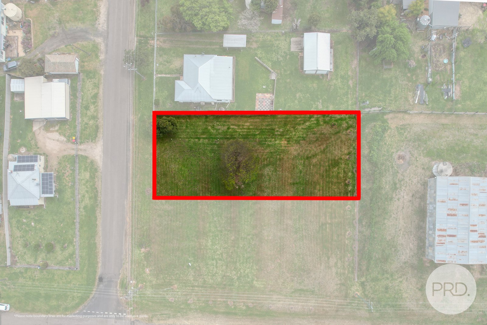 44 Learmonth Street WILLOW TREE 3