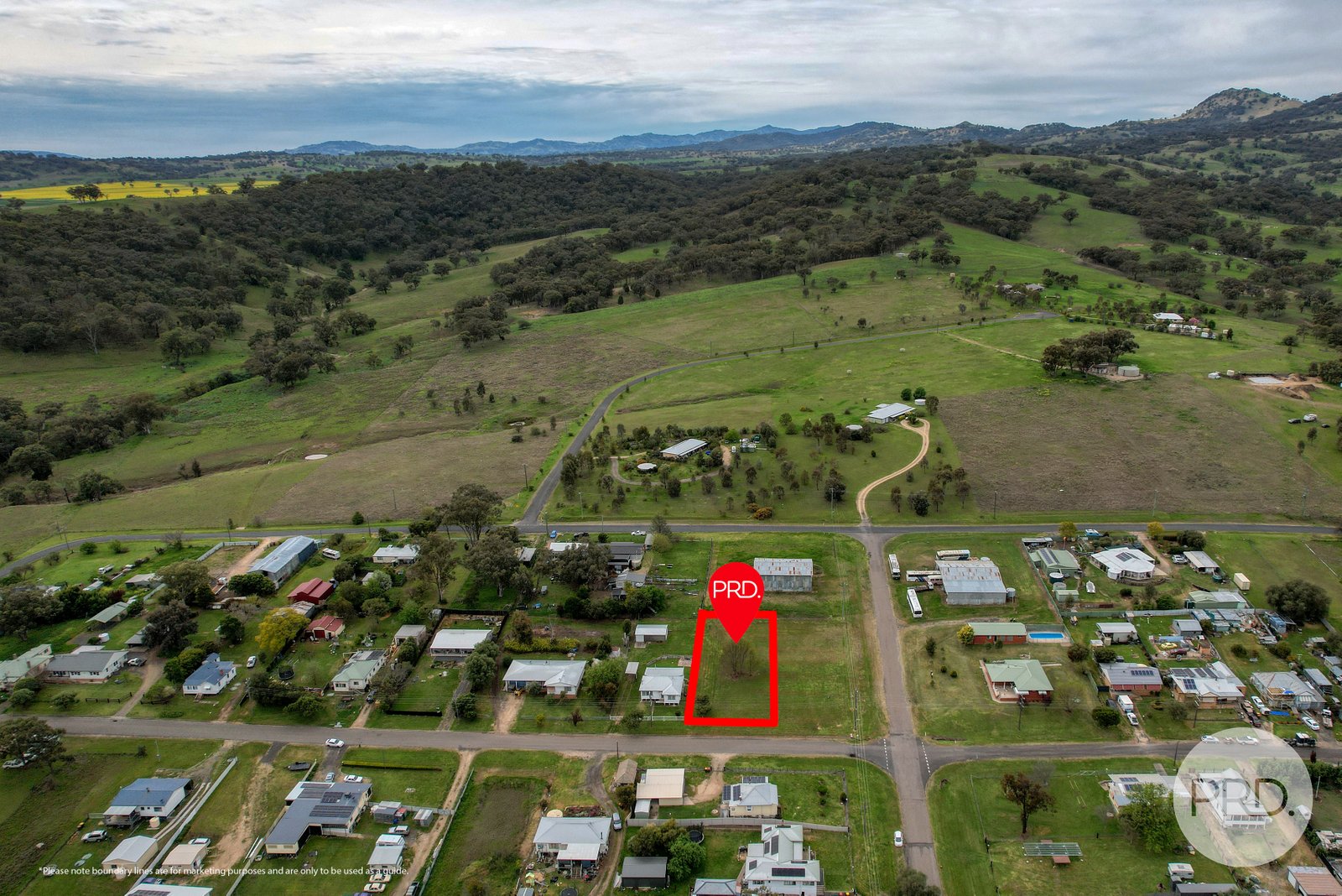 44 Learmonth Street WILLOW TREE 6