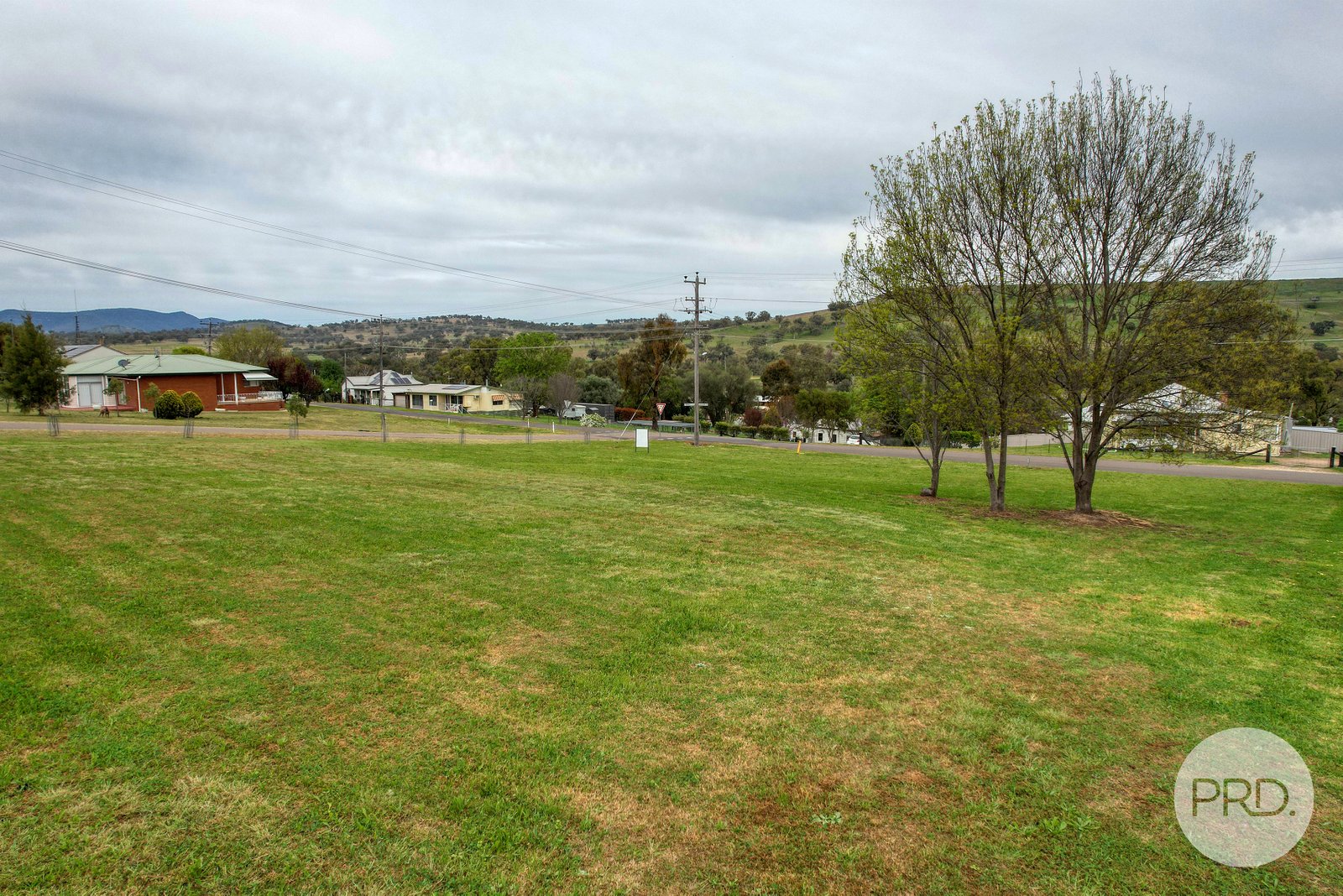 44 Learmonth Street WILLOW TREE 7