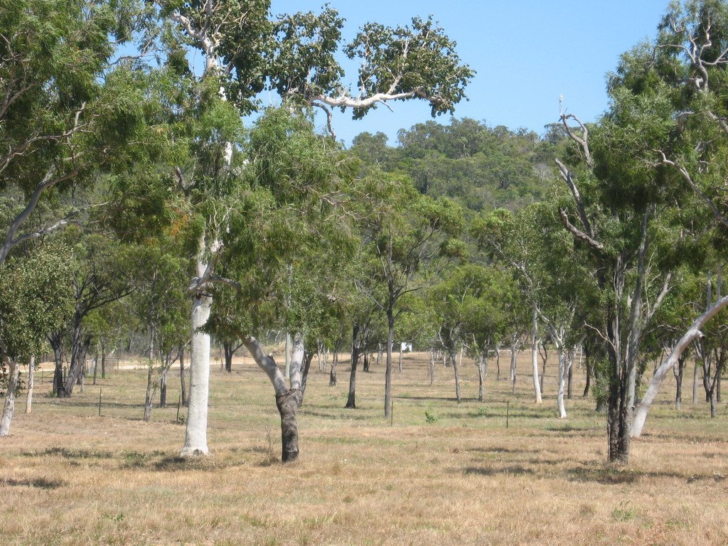 44 McDonald Close BOWEN 8