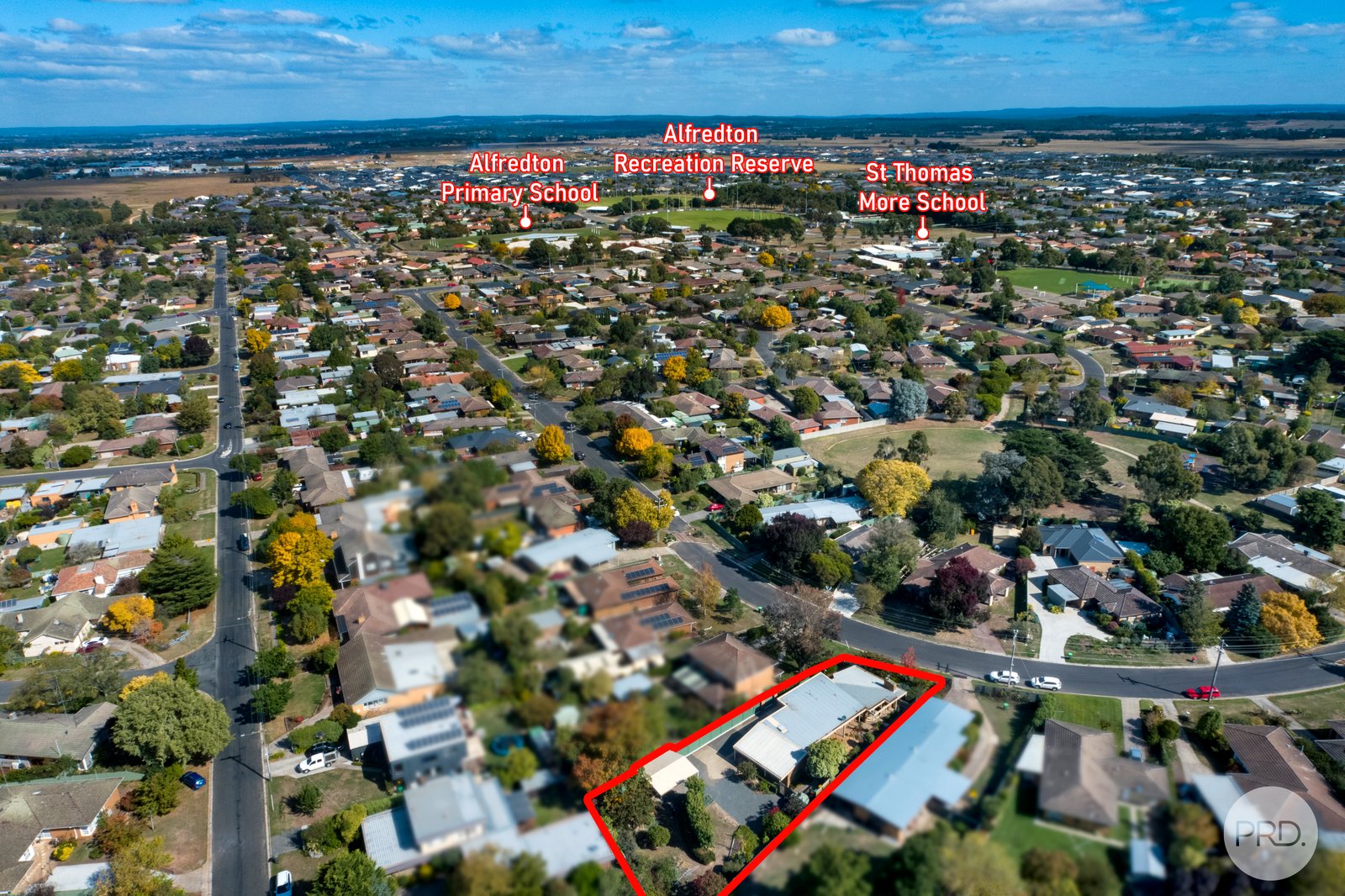 44 Mimosa Avenue ALFREDTON 20