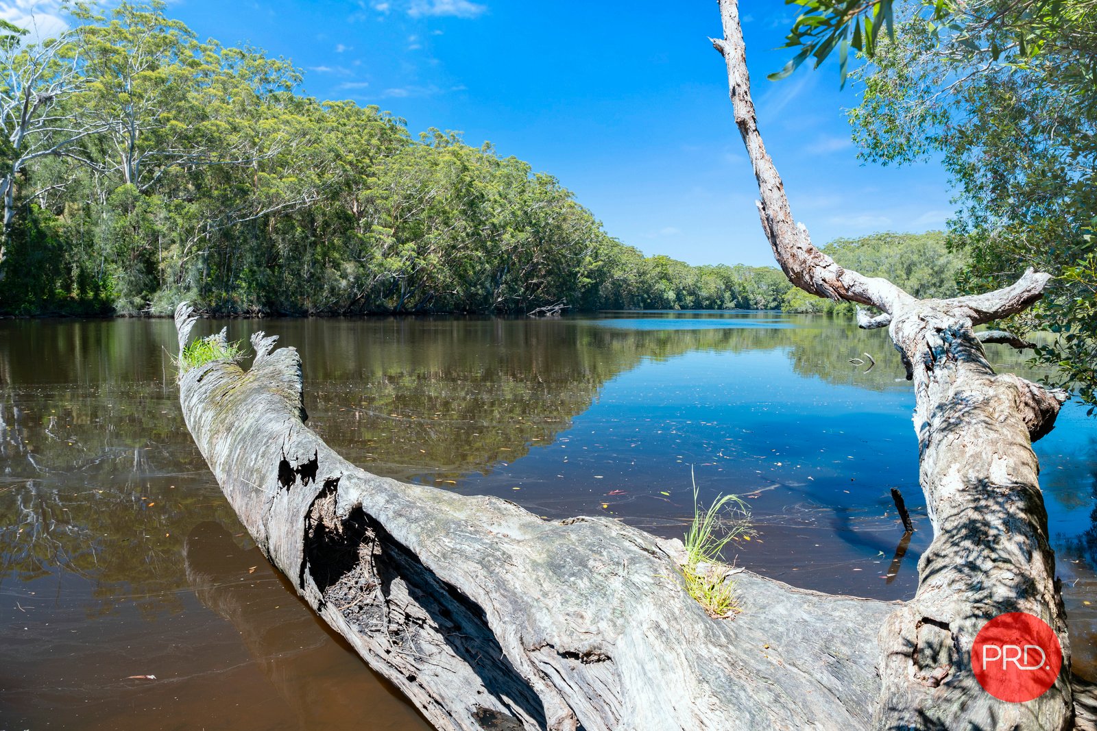 44 Moller Drive SAWTELL 22