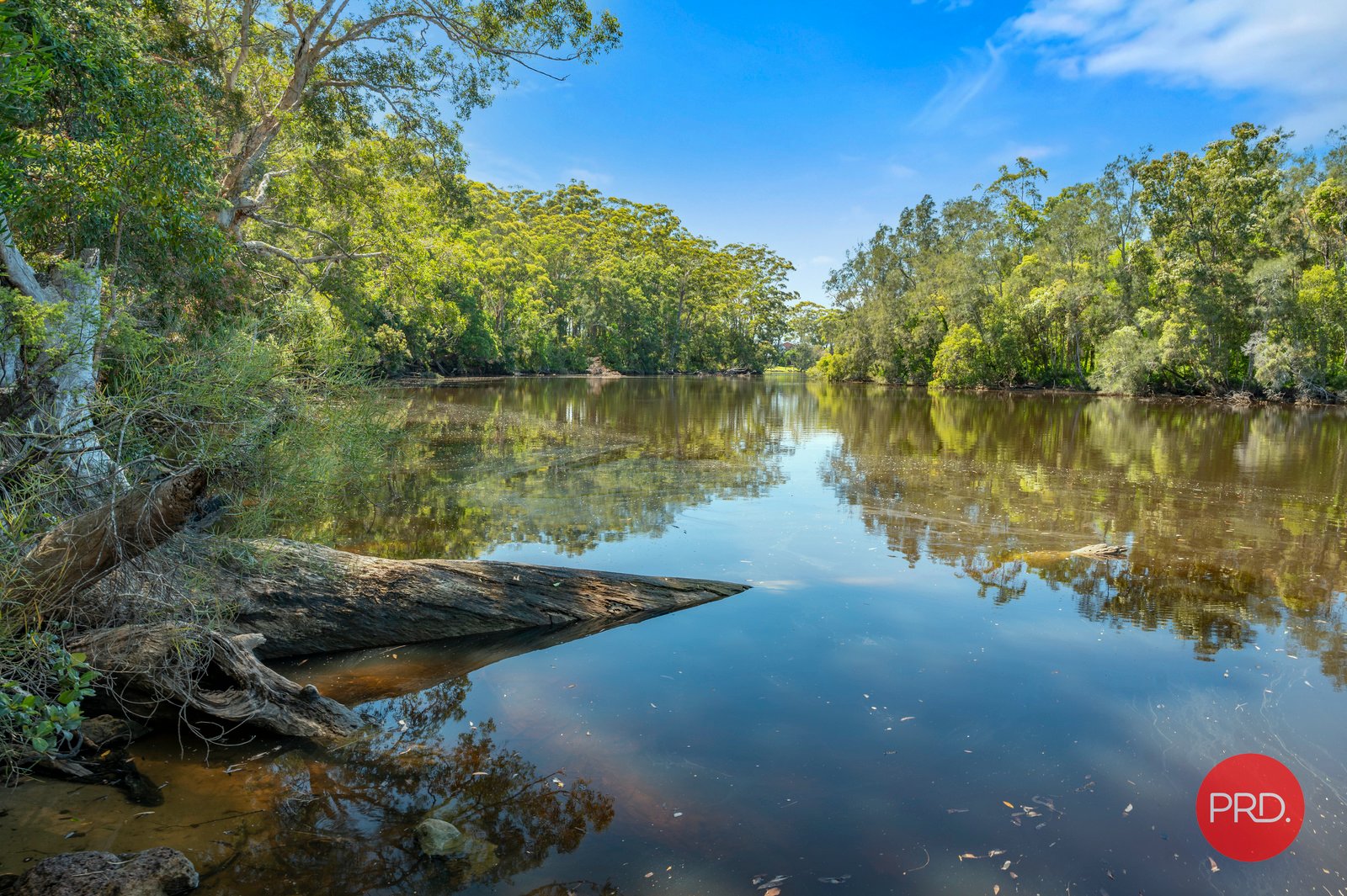44 Moller Drive SAWTELL 23