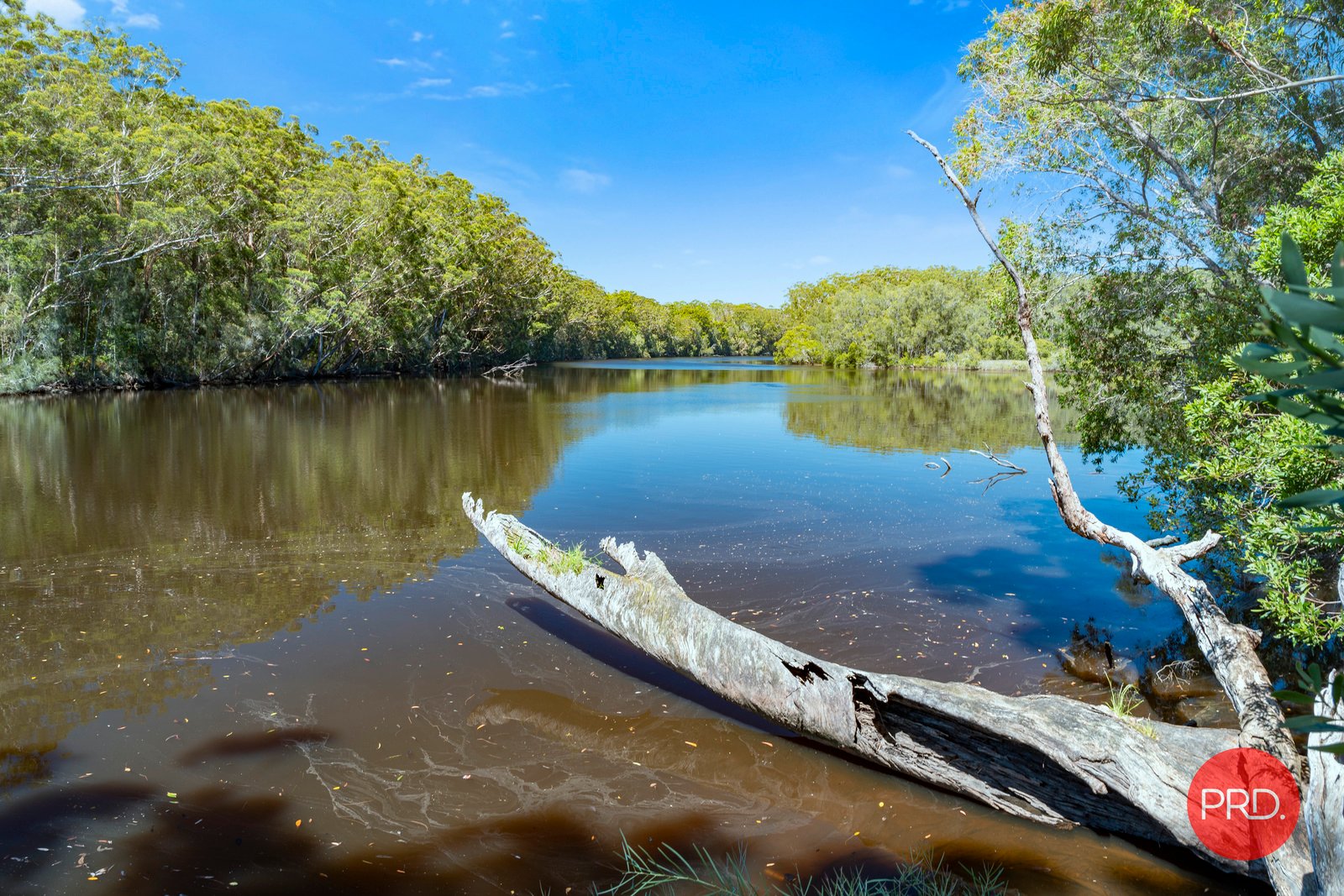 44 Moller Drive SAWTELL 24