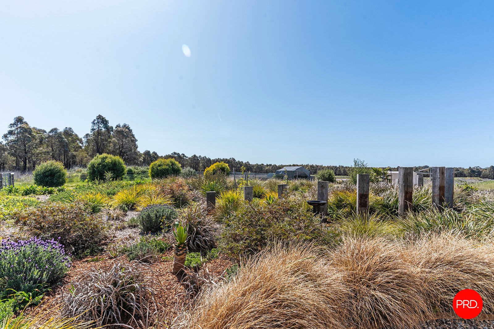 44 Neivandts Road SHELBOURNE 29