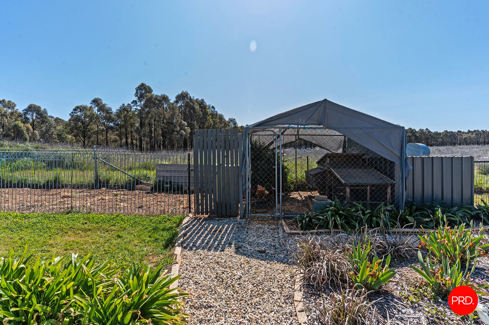 44 Neivandts Road SHELBOURNE 31